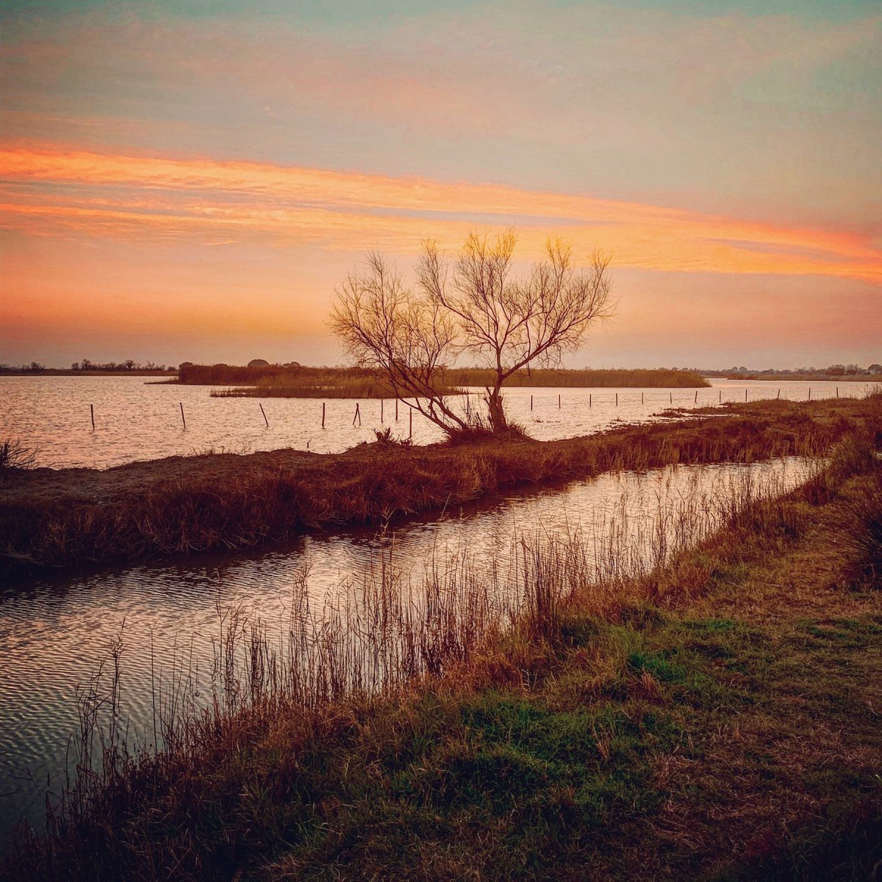 La Tramontane Hotel De Charme Aux Saintes Maries De La Mer Explorez La Camargue