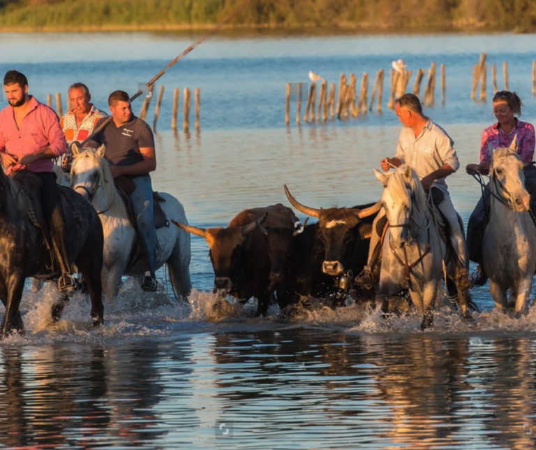 Hotel De Charme Aux Saintes Maries De La Mer 3