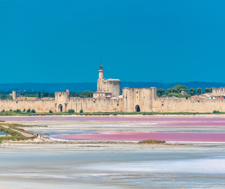 LA TRAMONTANE – Organisez votre teambuilding en Camargue