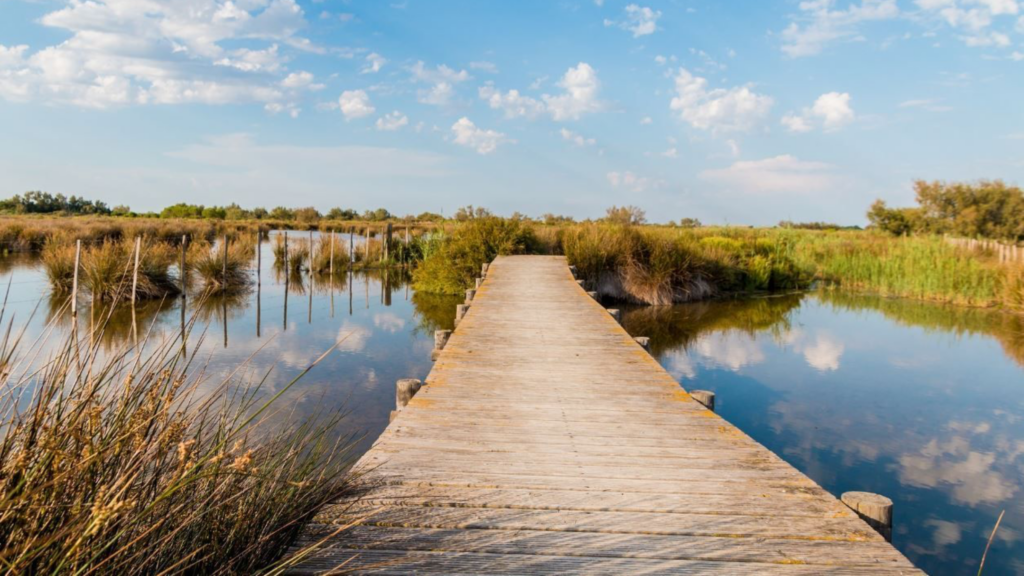 Randonnées aux Saintes