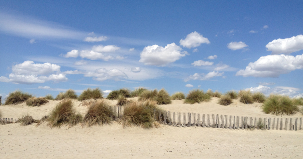Hotel De Charme Aux Saintes Maries De La Mer 8 1