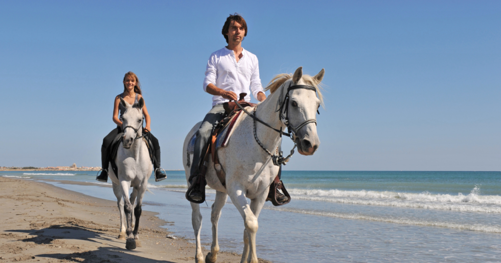Hotel De Charme Aux Saintes Maries De La Mer Sans Titre 1200 X 630 Px 4